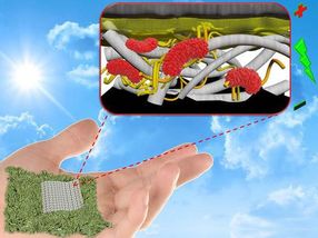 Biodegradable, paper-based biobatteries