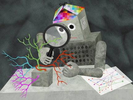 Artificial intelligence learns to recognize nerve cells by their appearance