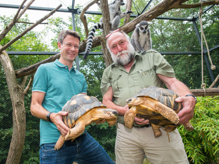 Blood samples from the zoo help predict diseases in humans