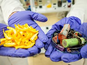 Scientists use fruit peel to turn old batteries into new