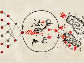 Cell-free quest for new antibiotics