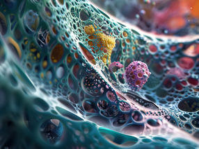 Producing chemicals in an environmentally friendly and energy-saving way: More yield through nanopores