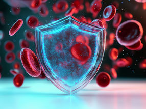 For better leukemia therapies: spin-off Cimeio partners with pharmaceutical company Kyowa Kirin