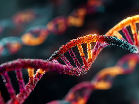 Deepest look yet into the human genome